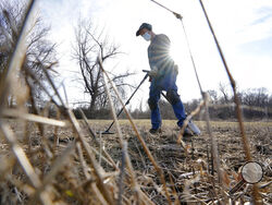 Amateur historian Jim Bailey uses a metal detector to scan for Colonial-era artifacts in a field, Thursday, March 11, 2021, in Warwick, R.I. In 2014, Bailey, who holds a degree in anthropology from the University of Rhode Island, found a 17th-century Arabian silver coin at a farm in Middletown, R.I., that he contends was plundered in 1695 by English pirate Henry Every from Muslim pilgrims sailing home to India after a pilgrimage to Mecca. (AP Photo/Steven Senne)