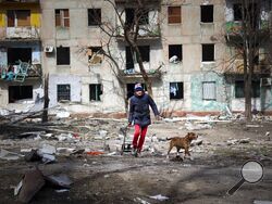 A man walks with his dog near an apartment building damaged by shelling from fighting on the outskirts of Mariupol, Ukraine, in territory under control of the separatist government of the Donetsk People's Republic, on Tuesday, March 29, 2022. (AP Photo/Alexei Alexandrov)