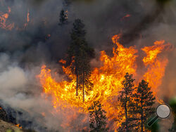 Trees and vegetation go up in flames at the River Fire Thursday, July 25, 2024, nearby Myrtle, Idaho. Lightning strikes have sparked fast-moving wildfires in Idaho, prompting the evacuation of multiple communities. (August Frank/Lewiston Tribune via AP)