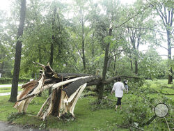 Laure Hibberd and her son, Johnny Hibberd walk past a downed tree at Rotary Park after a tornado swept through the area in Livonia, Mich., Wednesday, June 5, 2024. (Robin Buckson/Detroit News via AP)