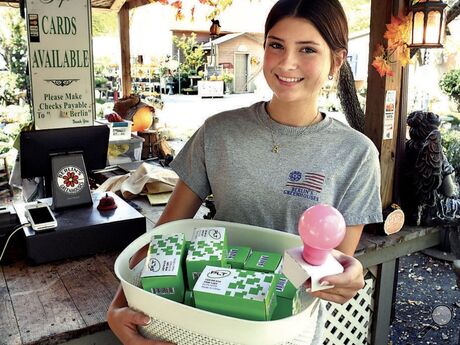 Berlin’s Greenhouses employee Amelia Beishline, above, displays the pink light bulbs being sold as a fundraiser for Kim Nespoli’s fight against cancer. The bulbs are $5. All proceeds go toward her medical expenses.