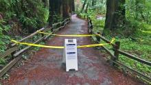 CBS San Francisco/ A sign showing a trail closed sign at the entrance to the Muir Woods National Monument in Marin County, Calif. Authorities say a Redwood tree fell and fatally struck a man visiting Muir Woods National Monument Park on Christmas Eve.