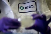 FILE - In this Thursday, Feb. 28, 2013 file photo, Merck scientist Meizhen Feng conducts research to discover new HIV drugs in West Point, Pa. Merck & Co. said Tuesday that the company plans to cut another 8,500 jobs. (AP Photo/Matt Rourke, File)