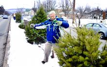 Rich Dobrydnia removes lights from a tree along Christmas Blvd. on Market Street in Berwick 