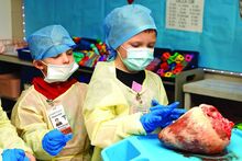 Press Enterprise/Rebecca Villagracia First grade students Conner Rickabaugh, left, and Jayce King, right, touch a cow heart at the Danville Primary School on Friday. Ms. Madison Zosh’s first grade class learned about heart health.