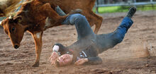 Tyler Simas of Danville went over his steer then the steer went over him during the Pennsylvania High School Rodeo Association event Friday night at the Benton Rodeo Grounds in the steer wrestling event. The high school event which has students from several different states runs through Sunday.