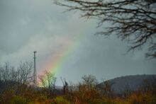 A rainbow brightens a gray sky, ending at a cell phone tower.