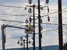 A worker in a high reach bucket truck runs rope through pulleys on the new poles lining Chestnut Street in Berwick while preparing to pull new power lines for the poles Friday. 