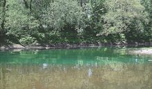 Blue food dye from Post Pet Food Plant floats down the Susquehanna River in South Centre Township Thursday afternoon.