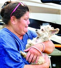 Donnamarie Bakuckas, 60, Abington, holds her lost and now found Chinese crested powderpuff named Celeste at the Bloomsburg Fairgrounds on Tuesday. 