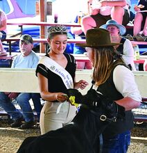 Dallas Goodyear, left, the Sun Area Dairy Princess, hands Press Enterprise reporter Drew Munich his tenth place ribbon at the Montour-Delong Community Fair in Washingtonville Thursday evening.