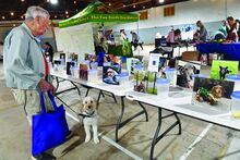 Glenn Sadler holds the leash of his miniature golden doodle Dolly as he looks a photos of pets entered in Geisinger Health Plan’s Senior Summer Pet Expo Tuesday in Elysburg. 