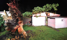 A large tree toppled onto a garage at 413 S. Mercer St. in Berwick, crushing its roof during Monday night’s storm that crossed the area. 