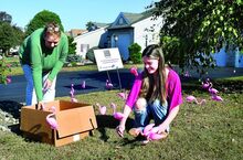 Madeline Cross, right, a Danville High School senior, and her mom, Brenda Hill, “flock” a lawn on Meadow Lane in Danville with plastic pink flamingos on Sunday morning. The fundraiser for the Danville Prom Closet is Madeline’s Girl Scout Gold Award project. 