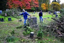 Volunteers Fred Shotwell, at left in the top photo, and Mort Pascoe move limbs and brush into a pile for removal during a cleanup of Beach Haven Cemetery in Salem Township