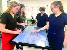 From left: Votech seniors Kaeleigh Swank, Addison Mosgo, Nicholas Francis and Elizabeth Fricks dissect the chest cavity of a virtual cadaver on the school’s Anatomage table.