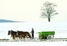 A lone Amish boy plows and spreads fertilizer on one of the family fields along Route 254 in Derry Township on Monday morning.