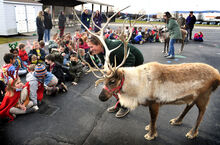 Beth Reed, from Spruce Run Farm, holds Kneezie, a three-year-old female reindeer, while answering questions from kindergarten and first graders at Danville Primary School on Friday afternoon. In the background, Beth’s sister Helen Starr holds Twinkles, a six-year-old female reindeer. All classes at the school got a chance to see the reindeer, ask questions and be in class photos with Santa’s favored sleigh movers.