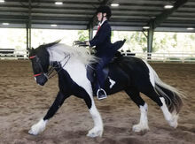 Morgan Clemens, a sophomore at Penn State University, is seen atop her horse, Charlie, at a 4-H horse competition. The Dan- ville Area graduate recently won an award as a horse judge in a collegiate competition. She is studying animal and equine sciences.