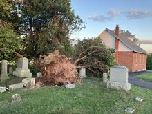 The gravestone of Elias Creasy, who died in 1901 at 82, lies toppled Thursday at the base of a tree torn from the ground in the Briar Creek Union Cemetery. It was one of more than a half-dozen trees downed in Wednesday’s storm, some of which were snapped off at their base.The former St. Peter’s Union Church, in the rear of this photo, appeared undamaged.