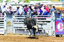 Benton’s high school bull riding champion Jaegen Keeney, 18, is seen competing recently at nationals in Wyoming where he finished in Top 20 but failed to make it into the final rounds.