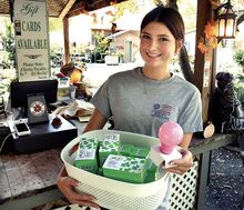 Berlin’s Greenhouses employee Amelia Beishline, above, displays the pink light bulbs being sold as a fundraiser for Kim Nespoli’s fight against cancer. The bulbs are $5. All proceeds go toward her medical expenses.