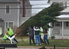 A crew from the Berwick Department of Public Works raises the annual Christmas tree at the beginning of the Christmas Boulevard Tuesday morning. The 75th Annual Christmas Boulevard opens Friday at 5:45 on Market Street in the borough.