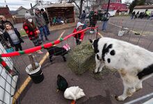 Children getting to feed animals was just one of the activities at Catawissa’s Winterfest on Sunday evening. There were also vendors, a living nativity and a fire pit, along with crafts.