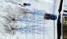 Tree branches cast shadows across the snow along Grandview Road in Scott Township on Thursday morning.