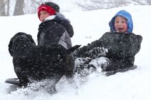 Mason Farner, 11, at left above, and Grant Yuhas, 6, have their sled ride interrupted by Miley, a Labrador mix, Saturday morning on the hill along Catherine Street at Town Park.