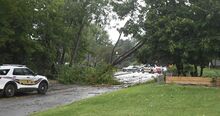 Thursday's storm felled a tree on Country Club Road in Bloomsburg, causing it to fall across the road.